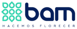 Polla futbolera BAM Logo